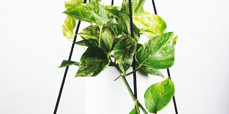 西甲联赛巴塞罗那对阵皇家马德里国家德比回放